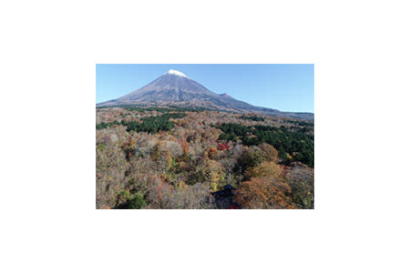 富士山「まなびの森」