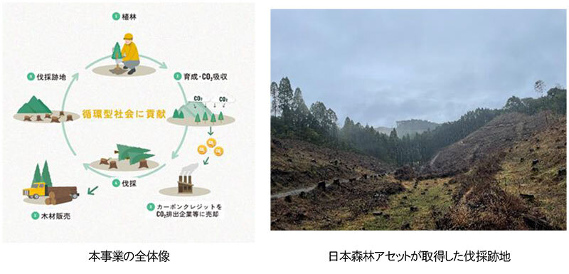 伐採跡地の再造林を加速し、国内林業の活性化へ～「林業×金融 ...