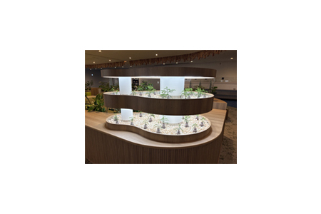 羽田空港で展開する「Airport
