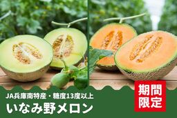 糖度13度以上！　兵庫県産「いなみ野メロン」（青肉・赤肉）の予約販売開始！