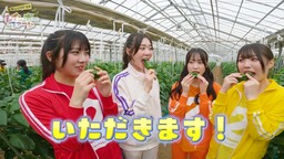 アイドルが本格的な農業を実践！ YouTube番組「虹のコンキスタドールのレインボーファーム」を配信開始！
