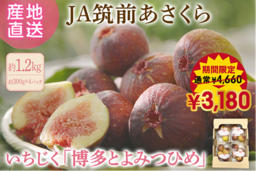 JAタウンのショップ｢博多うまかショップ｣でお盆の生産者応援！｢博多とよみつひめ｣を特別価格で予約受付中！
