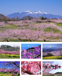 株式会社IDOM様より企業版ふるさと納税として7台の車両の寄附を受納しました