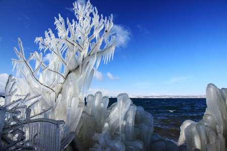 厳冬期の自然が創る芸術「しぶき氷」
