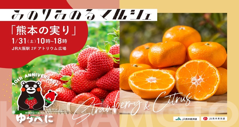 Jammiruさん専用商品 三國推奨 北海道クレームブリュレ・ミルクブリュレセット | 三國清三