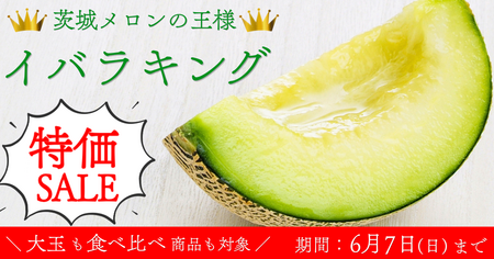 「イバラキング特価セール」を