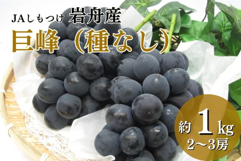 栃木県内の名産地が育む巨峰とシャインマスカットを産地直送通販サイト