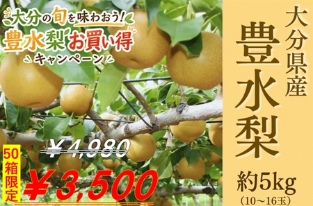 大分県産