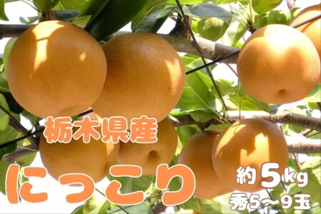 大玉で甘み豊かな栃木県産梨「にっこり」を