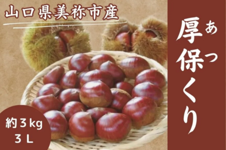 「アツアツ!!」ＨＯＴな「厚保（あつ）くり」を