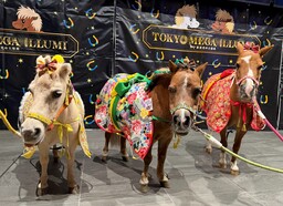 東京メガイルミ2025‐2026 「午（うま）年MEGA新春イベント」を開催