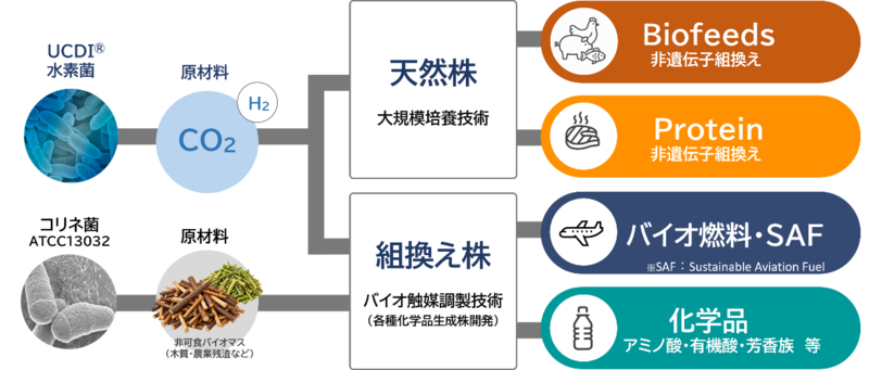 news feed image