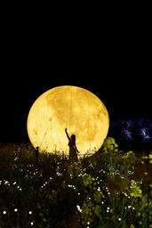 約2,700万本の菜の花が咲く長崎鼻で夜の新イベント初開催「長崎鼻 菜の花ライトアップ」