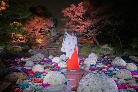 大濠公園日本庭園『宙-SORA-』に新コンテンツ「浮花