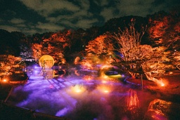 大濠公園日本庭園『宙-SORA-』に新コンテンツ「浮花 -Fuka-」誕生:共同