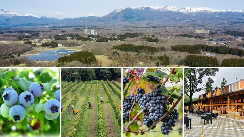 【フォーシーズンズホテル東京大手町】北ヨーロッパのクリスマスをお届け。フェスティブ アフタヌーンティー2026年10月1日（木）より予約開始