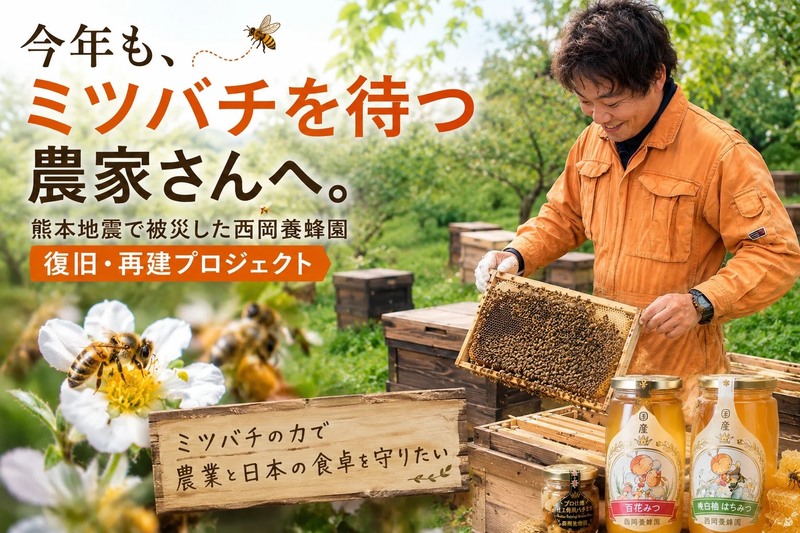 令和8年熊本地震で被災した八代市の「西岡養蜂園」がクラウドファンディングに挑戦 全国1万戸の農家へミツバチを届け続けたい
